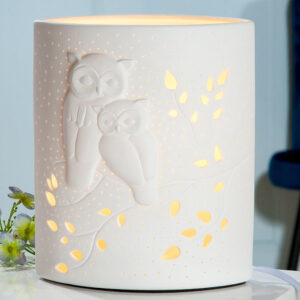 Allegan Small Porcelain Owl Design Table Lamp In White